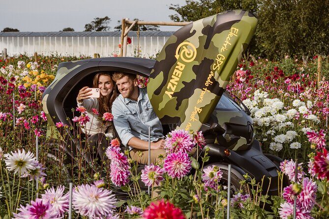 Drive it yourself electric Dune & Summer Flower GPS audio tour - Timing and roadwork: why your 3-hour day can still surprise you