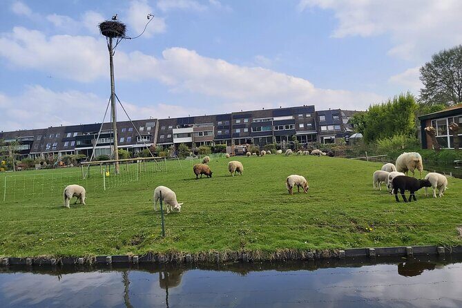 Dutch Windmills & Polder Walking Tour - Stop 3: Walking Toward the Zijl River for Dutch Neighborhood Views