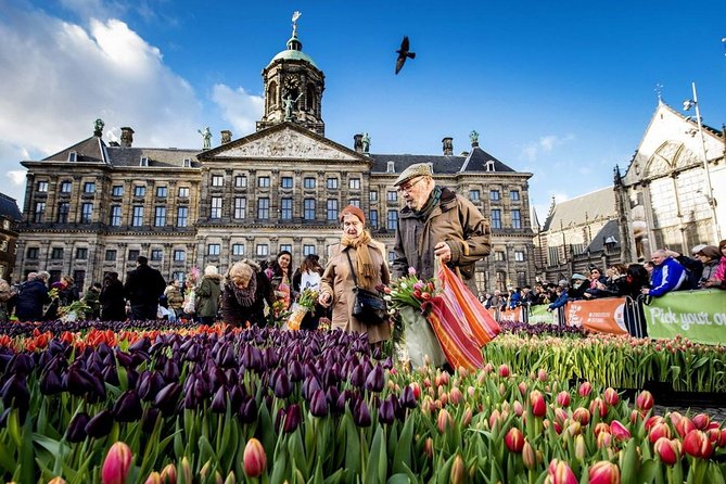 e-Scavenger hunt Amsterdam: Explore the city at your own pace - Price: Paying $37.29 for Flexibility, Not Lectures