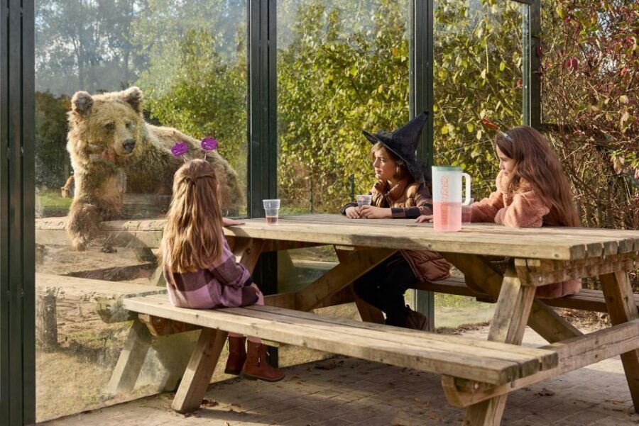 Eindhoven Zoo Entry Ticket - Playgrounds and Benches: How the Zoo Works for Families