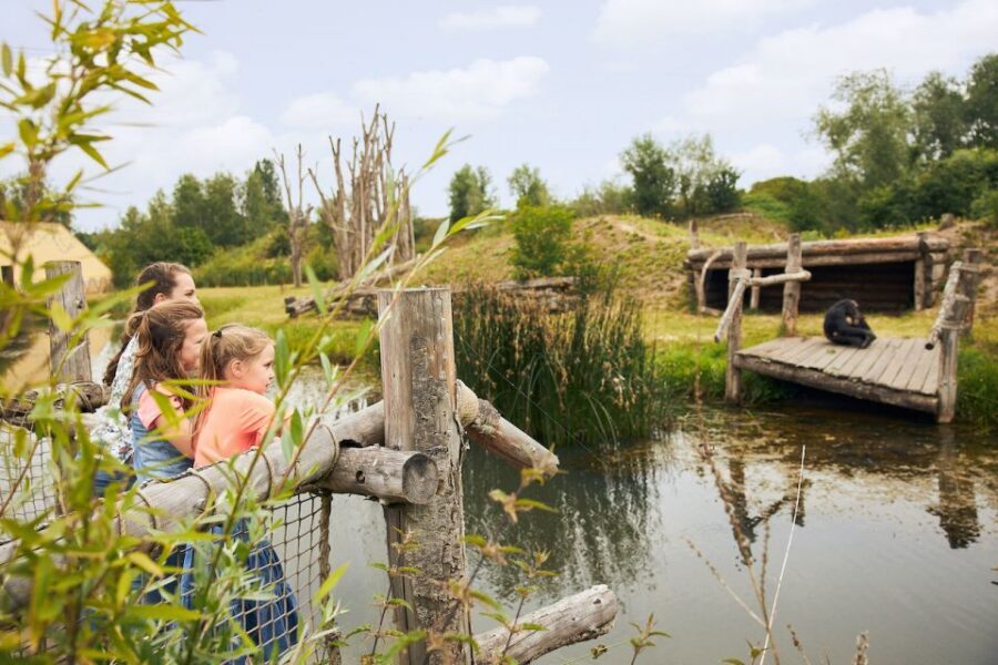 Eindhoven Zoo Entry Ticket - Entering, Timing, and Getting There in North Brabant