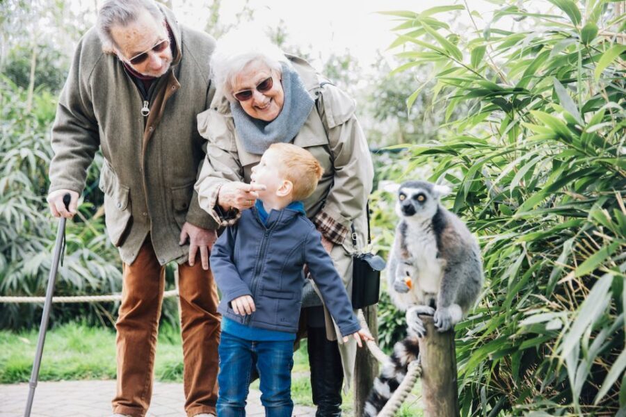 Eindhoven Zoo Entry Ticket - Who This Zoo Ticket Suits Best