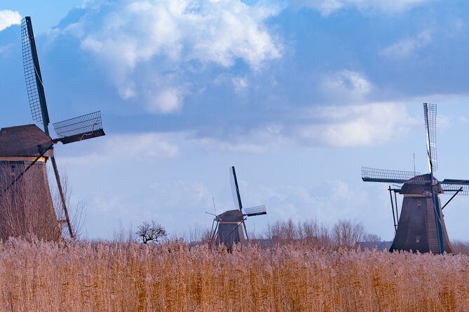 Famous Holland Tour: visit The Hague, Delft, Rotterdam and Kinderdijk from A'dam - The Hague’s Binnenhof: Ridderzaal and Dutch democracy in one stop