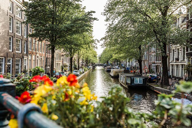 Flexible Amsterdam Layover Tour with a Local: 100% Personalized & Private - Walking, weather, and the real logistics of a short schedule