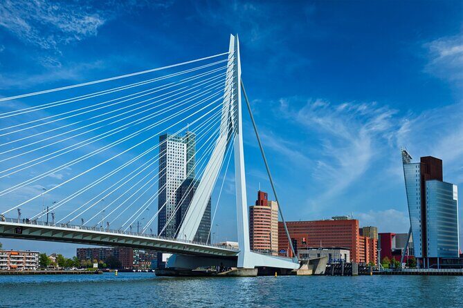 From Amsterdam: Day Trip to Rotterdam, Delft & Hague with Cruise - The Hague’s landmark orbit: government, royal areas, and Peace Palace vicinity