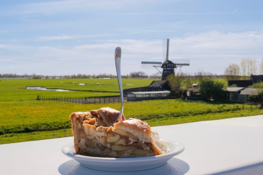 From Amsterdam: Holland Flower and Windmill Tour - summer ed - Should you book the Holland Flower and Windmill Tour (summer ed)?