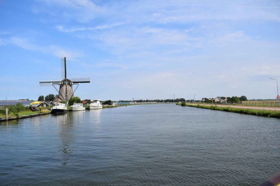 From Amsterdam: Holland Flower and Windmill Tour - summer ed - De Tulperij flower farm: Dahlias, bulb talk, and real garden time