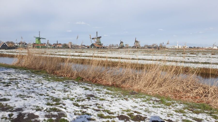 From Amsterdam: Small Group Zaanse Schans and Volendam Tour - Why Zaanse Schans and Volendam work so well in one trip
