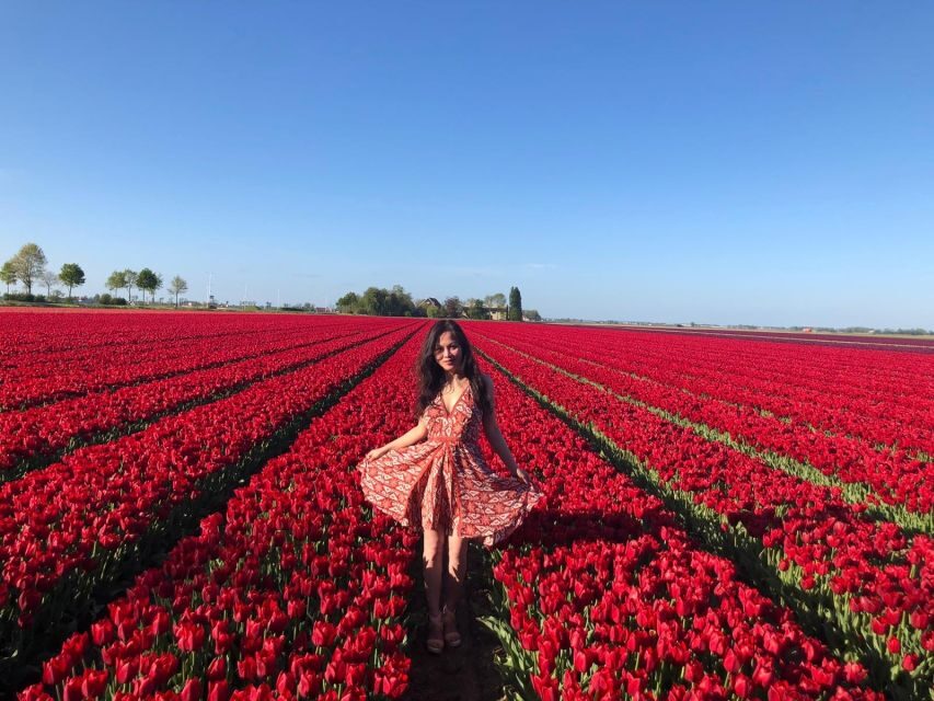 From Amsterdam: Tulip Tour Keukenhof & City Tour Delft - What to bring (and what to avoid) for a smoother day