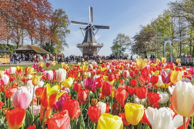 Full-Day Skip the Line Keukenhof and Canal Cruise from Amsterdam - Key moments that make this day work