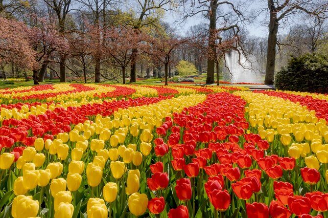 Full-Day Skip the Line Keukenhof and Canal Cruise from Amsterdam - Price and value: what you’re actually paying for
