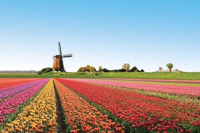 Full-Day Skip the Line Keukenhof and Canal Cruise from Amsterdam - Meeting at HollandOverhoeksplein: start simple, end where you began