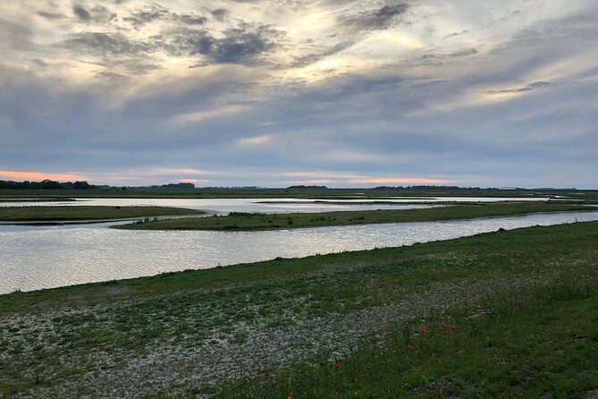 Full day tour to Texel - Friesian Islands - from Amsterdam - Group size and your guide: the difference-maker