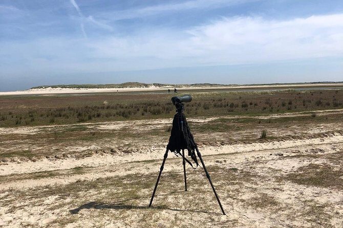 Full day tour to Texel - Friesian Islands - from Amsterdam - Weather reality: why you should dress like it’s windy