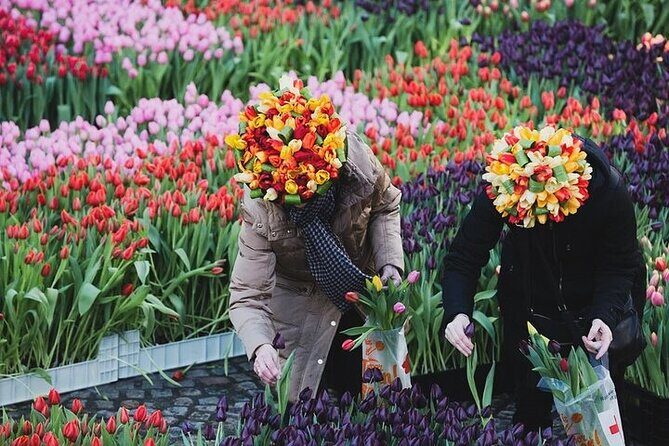 Full-Day Trip From Amsterdam to Keukenhof, Zaanse Schans + Cruise - Kaag Lakes boat ride: the water segment that makes the day feel like a mini journey