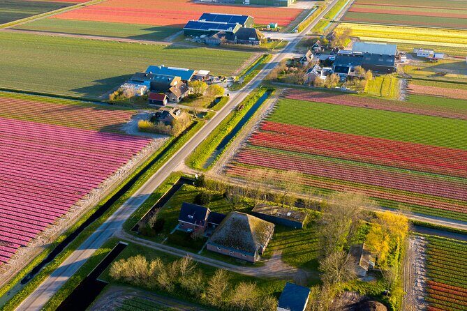 Guided Bike Tour along the Dutch Tulip Fields in Noord Holland - Key highlights to know before you pedal