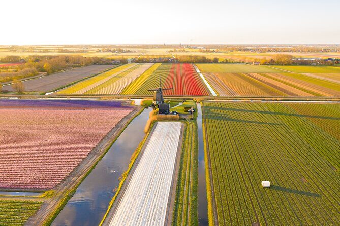 Guided Bike Tour along the Dutch Tulip Fields in Noord Holland - Why Schagen makes a great hub for Noord Holland tulip season
