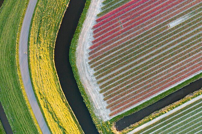 Guided Bike Tour along the Dutch Tulip Fields in Noord Holland - Price and value: what $119.21 buys you in Noord Holland