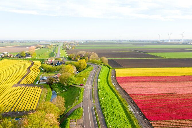 Guided Bike Tour along the Dutch Tulip Fields in Noord Holland - Stop-by-stop: how the day flows from Schagen and back