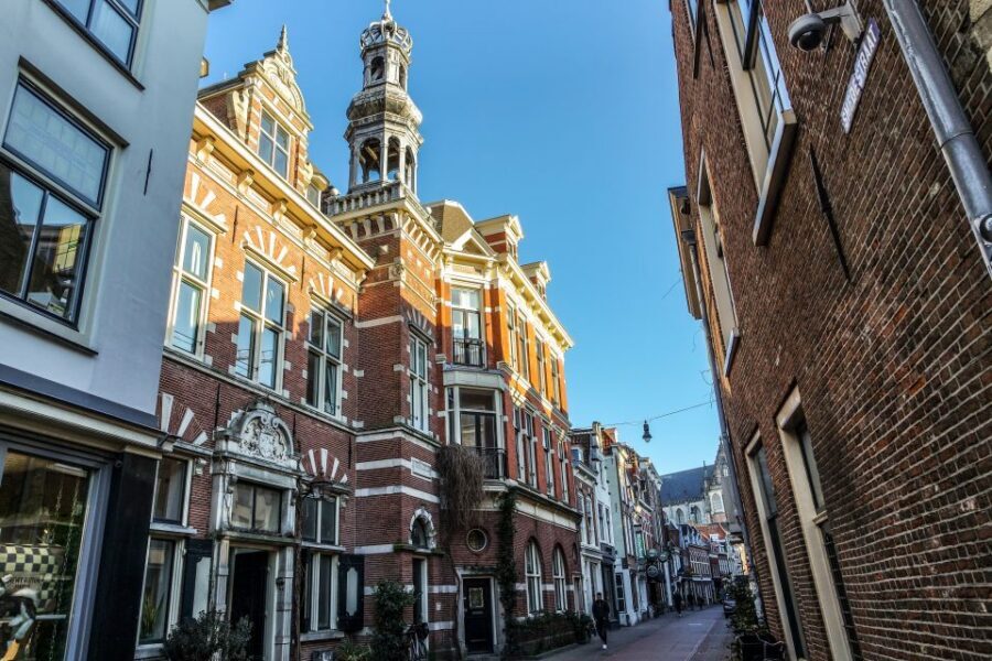 Haarlem: City Highlights Walking Tour - Windmill De Adriaan: industry you can still smell
