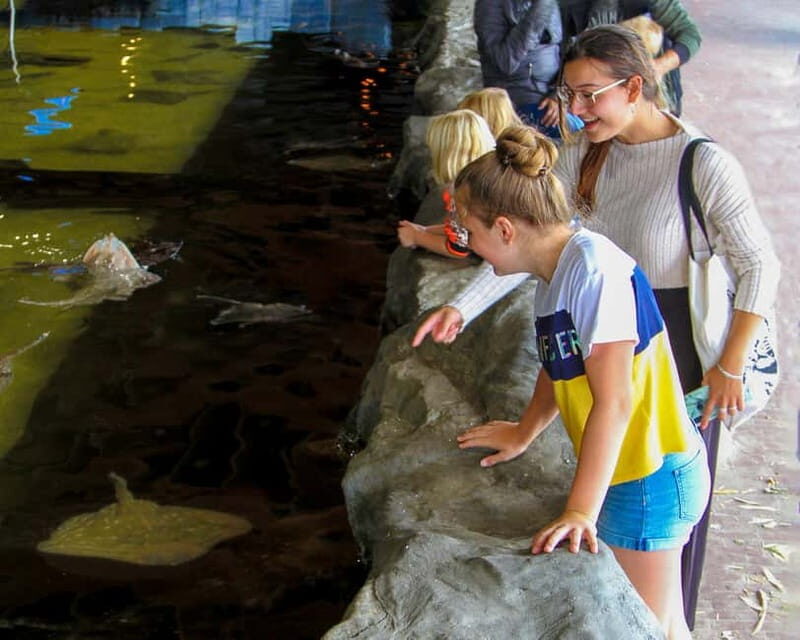 Harderwijk: Dolfinarium Entry Ticket - Value for Money: Is $28 a Good Deal Here?