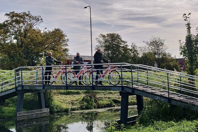 Highlight Bike Tours Haarlem - A 2-hour Haarlem overview on rental bikes