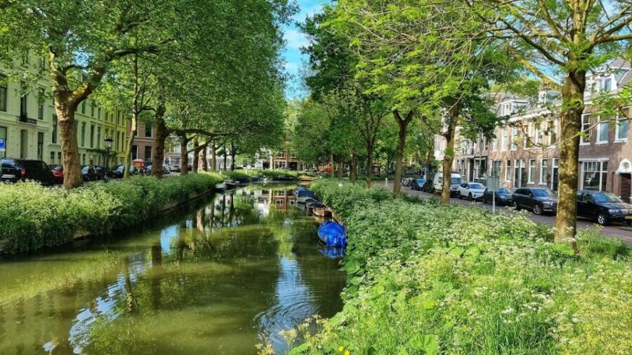 Historical Utrecht: Private Walking Tour with a Local Guide - Key things to notice before you go