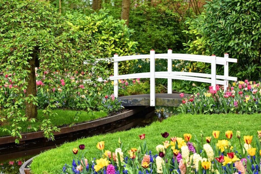 Keukenhof Gardens and Tulip Experience Tour from Amsterdam - Key things to know before you go