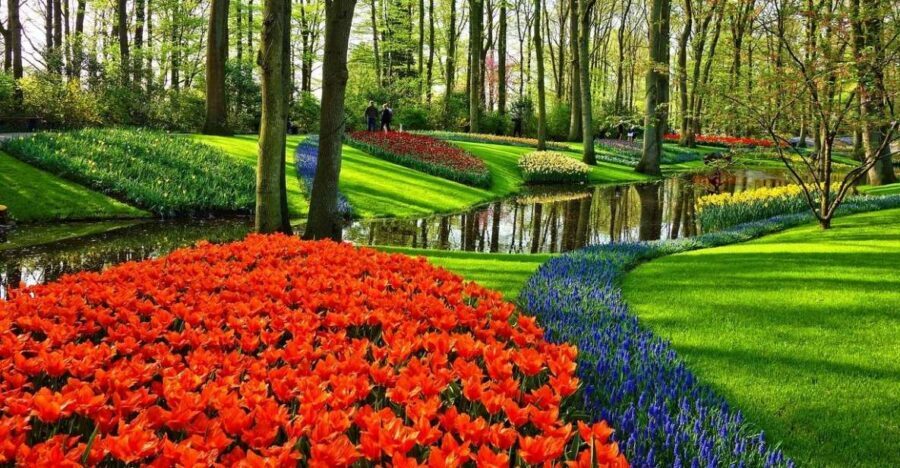 Keukenhof Gardens and Tulip Experience Tour from Amsterdam - A 5-hour shortcut to Holland’s tulip season