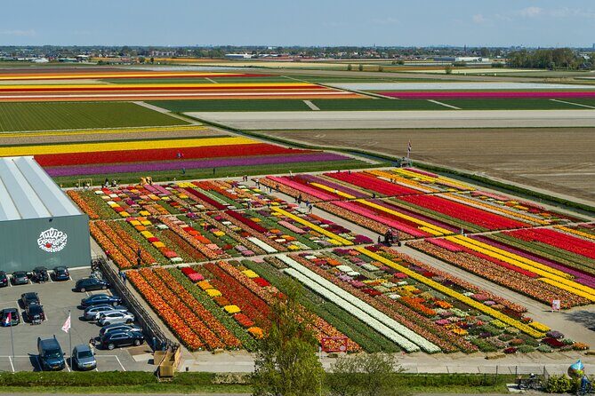 Keukenhof Gardens and Tulips Private Tour from Amsterdam - Keukenhof in One Smart Package from Amsterdam