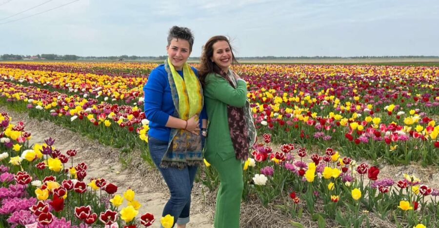 Keukenhof, Tulip Farm, Flower Fields & Windmills - Keukenhof and the tulip-factor: what this day delivers