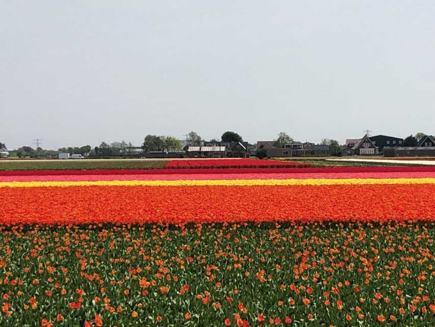 Keukenhof, Tulip Farm, Flower Fields & Windmills - Logistics that matter: timing, comfort, and getting around