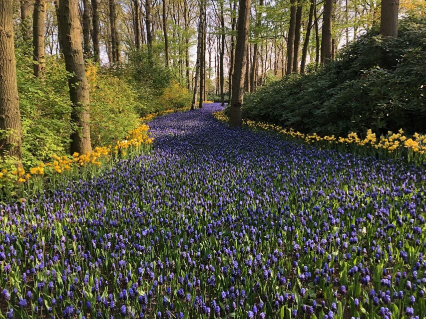 Keukenhof, Tulip Farm, Flower Fields & Windmills - Who should book this Keukenhof–windmills day