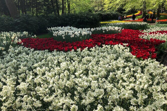 Keukenhof, Tulip Farm, Flower Fields & Zaanse Schans Windmills - Pickup and the smooth drive to Keukenhof