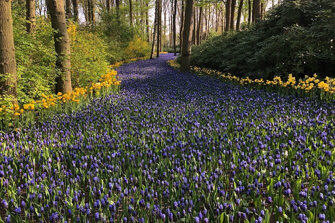 Keukenhof, Tulip Farm, Flower Fields & Zaanse Schans Windmills - Keukenhof: how to spend your time without missing the best bits