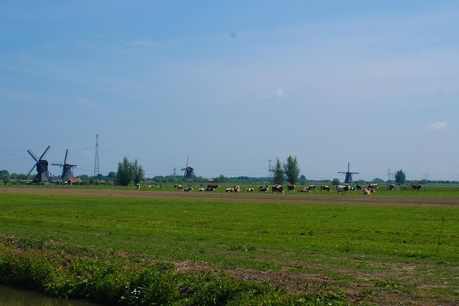 Kinderdijk Area Cycling Tour - Food and Coffee Breaks That Don’t Feel Like an Afterthought
