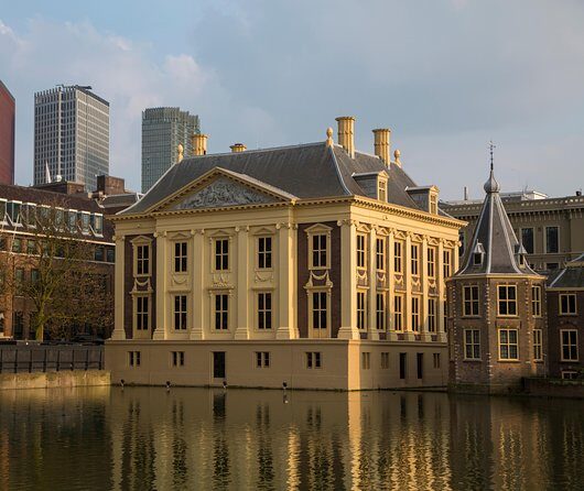 Kinderdijk, The Hague, Mauritshuis Private Tour from Amsterdam - Where the Day Can Feel Tight: Timing, Energy, and Weather