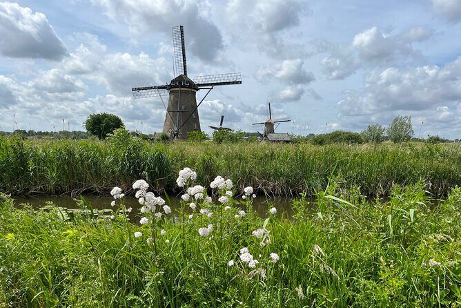 Kinderdijk Windmills, Delft City & Delft Blue Factory Visit - The 10:00 start time: why it matters more than you think