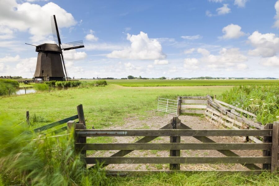 Lisse: Drive-it-Yourself Dutch Countryside GPS Audio Tour - Finding Orange Renzy and Getting Settled Fast