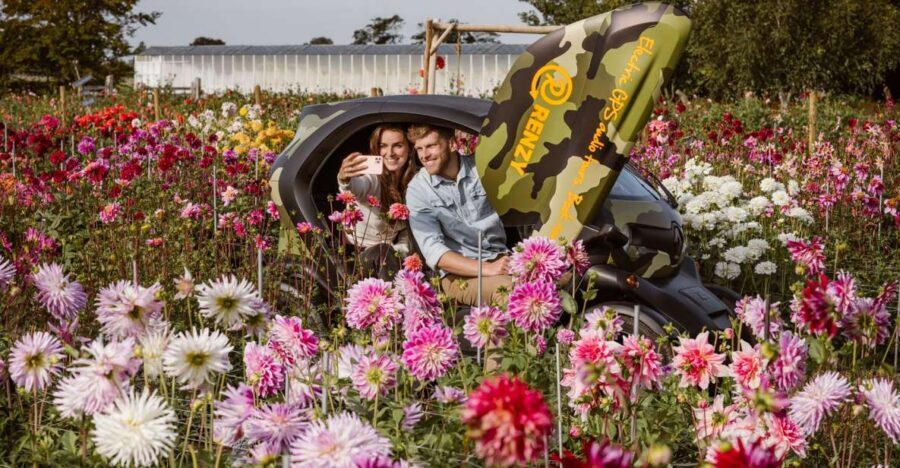Lisse: Drive-it-Yourself Summer Flower GPS Audio Tour - Key things that make this tour worth your time