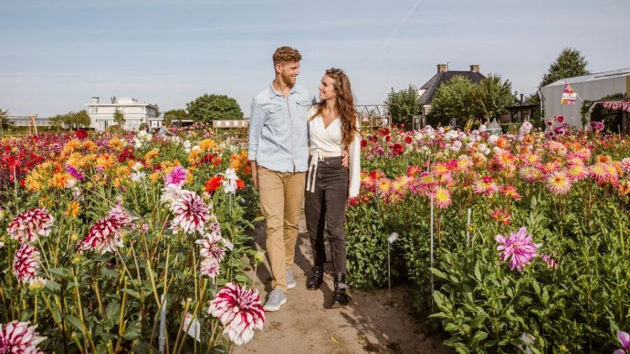 Lisse: Drive-it-Yourself Summer Flower GPS Audio Tour - The 3-hour, 35 km route: freedom with guardrails