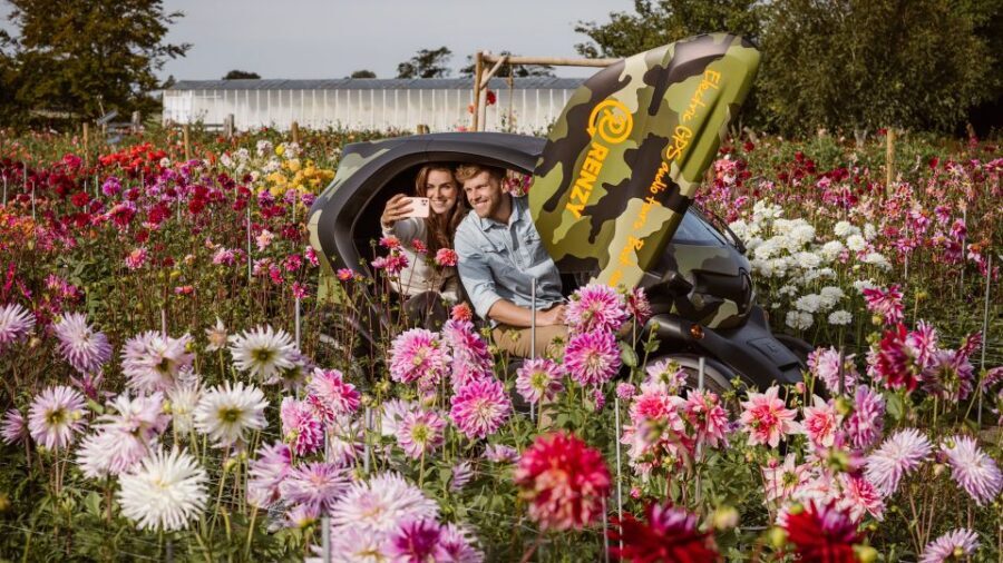 Lisse: Drive-it-Yourself Summer Flower GPS Audio Tour - Electric Twizy: the fun part that also lowers the stress