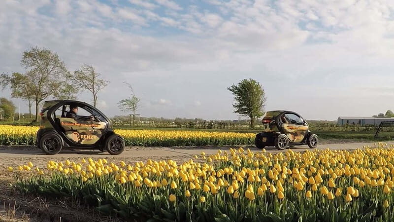 Lisse: Self-Guided Tulip Fields GPS Audio Tour - The Renault Twizy: small, fun, and built for attention