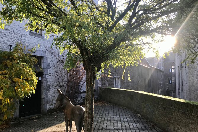 Maastricht Heritage and Nature Tour - Should you book this Maastricht Heritage and Nature Tour?