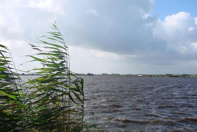 Off the beaten paths Dutch Country Side Private Tour in Jaguar - Who this private countryside tour is best for