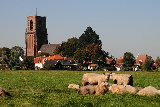 Off the Beaten Paths Dutch Landscape Private Tour 1/2 day Jaguar - Edam: Cheese Country, Without the Long Wait Energy