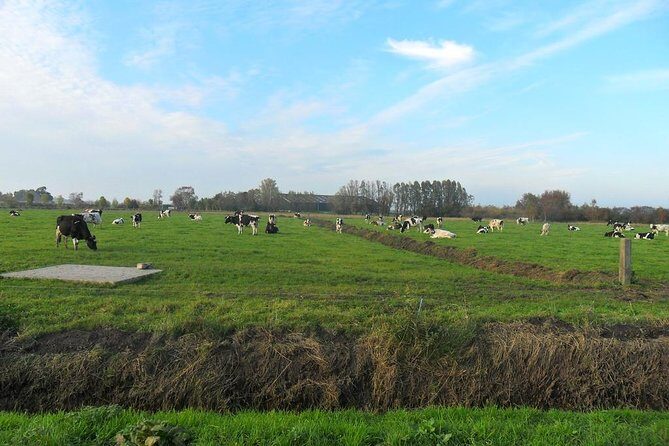 Off the Beaten Paths Dutch Landscape Private Tour 1/2 day Jaguar - Durgerdam, Katwoude, and Zuiderwoude: Quick Dike-Walk Views That Land Hard