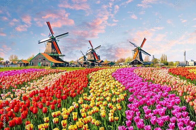 Private Countryside Tour From Amsterdam - Key highlights at a glance