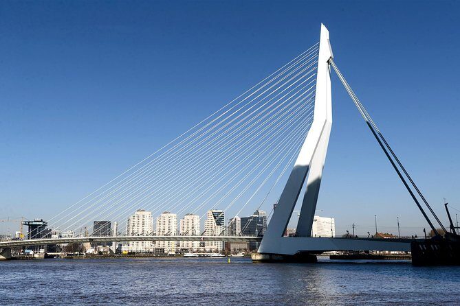 Private Day Tour: Rotterdam, Delft & The Hague From Amsterdam - Price and Value: What $420.08 per Person Buys You