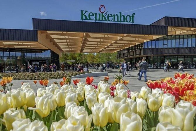 Private Day Tour to Keukenhof Gardens - from Amsterdam/Rotterdam - South Holland add-ons: Delft, Haarlem, bikes, farms, windmills